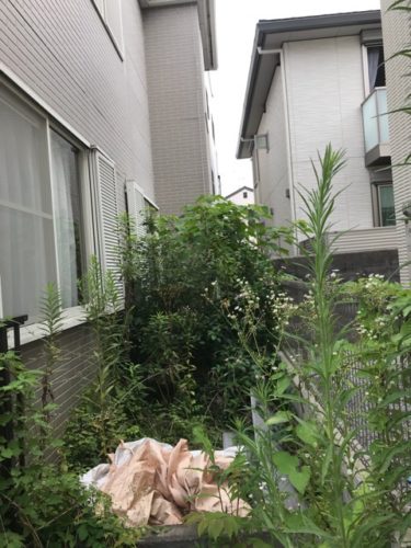 便利屋/宝塚市でお庭の草刈を行いました